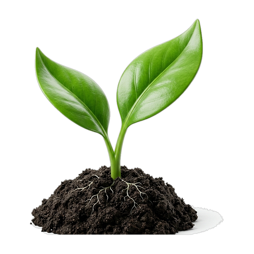 Healthy Soil & Plants