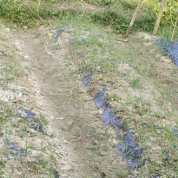 Final Result Clean fertile soil