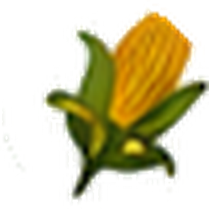 Corn