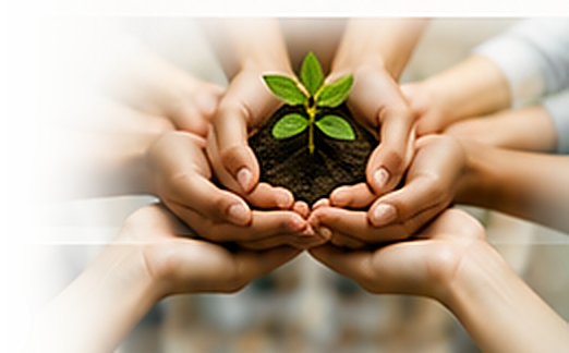 Community hands holding young seedling