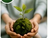 Government & NGOs sustainability initiatives