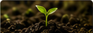 What Makes Packaging Truly Compostable?