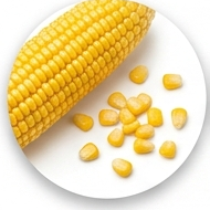 Starch