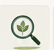 What is Greenwashing?