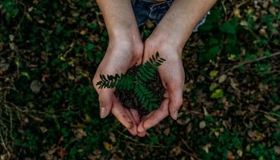 Better Planet for All