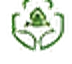 Custom Solutions